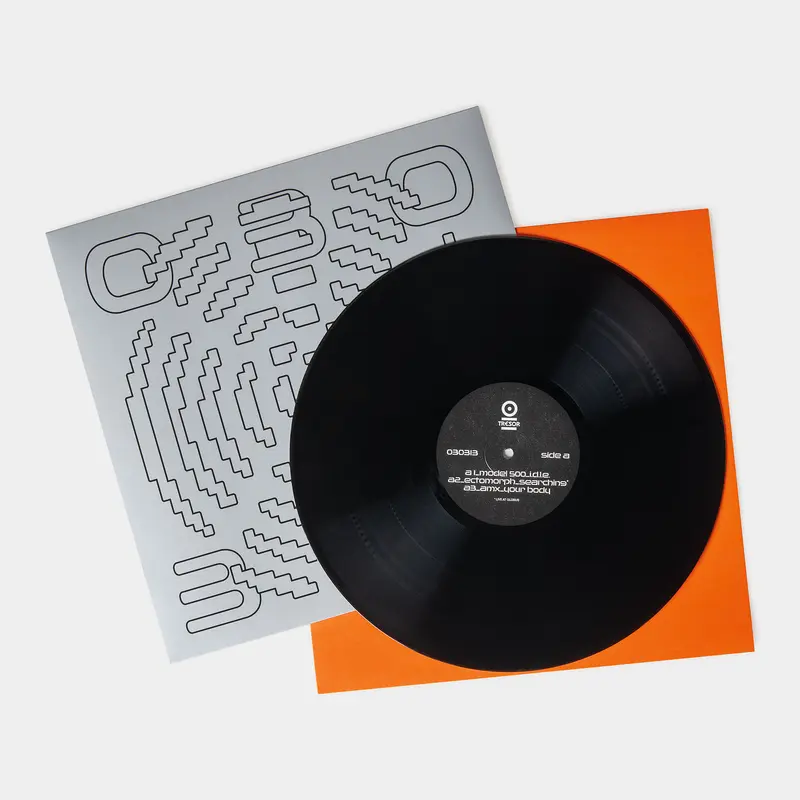 030/313 Vinyl Record