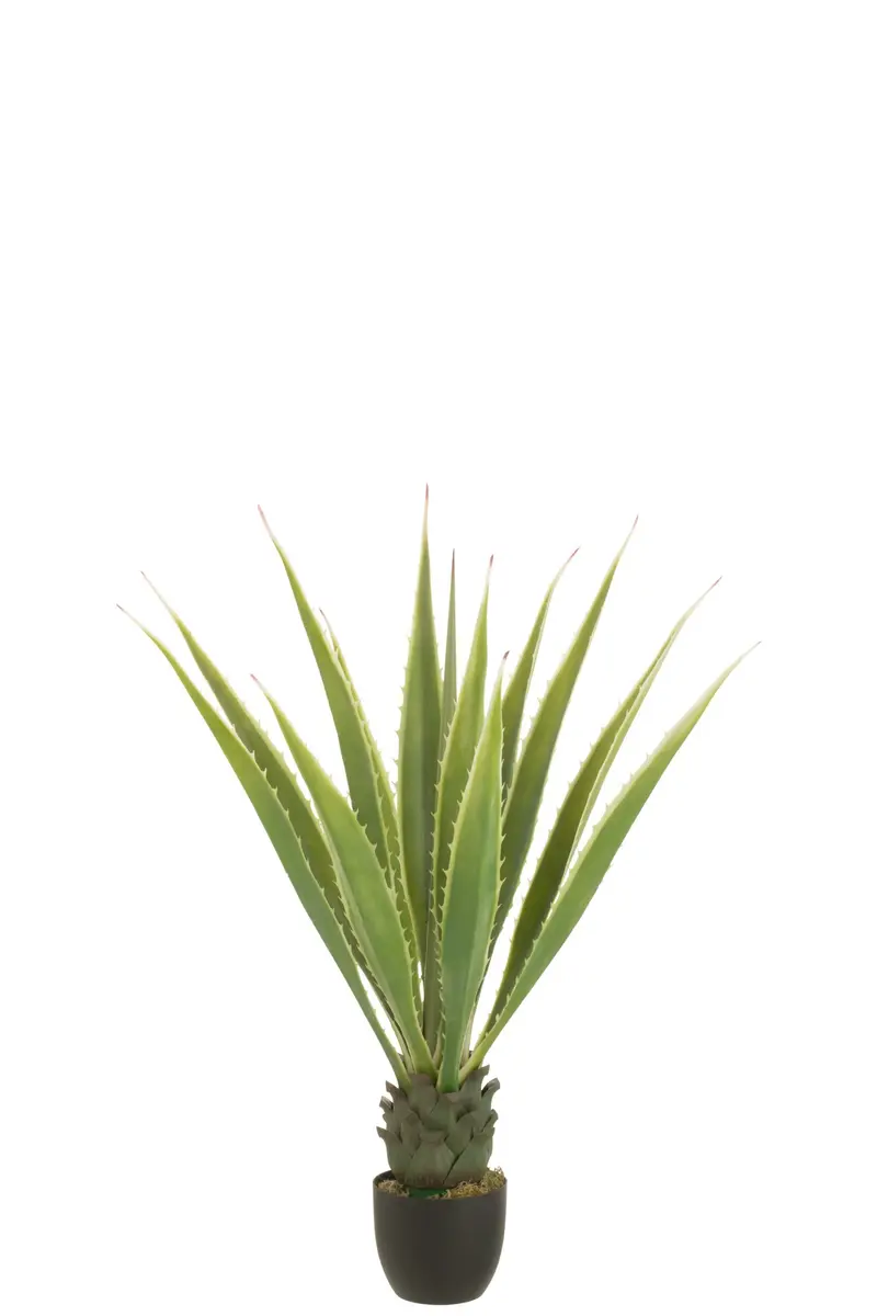 Agave Gebroken Wit Kunstmatig Groen 80x80x150cm