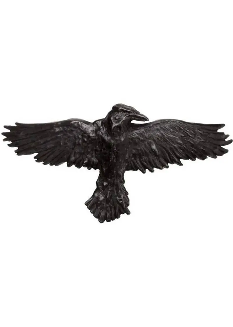 Alchemy Raven Hair Clip Black