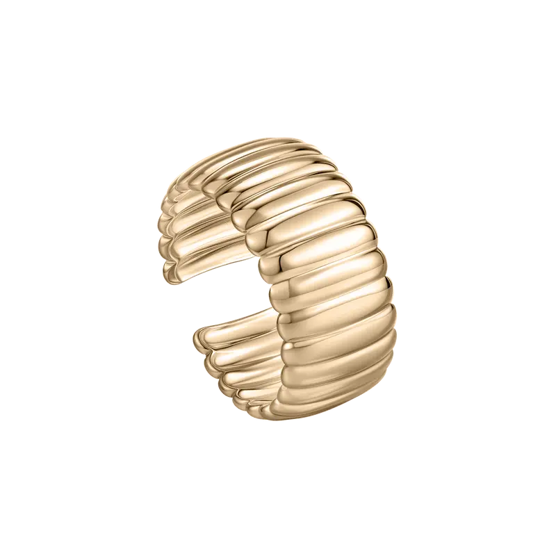 Ameli Ring