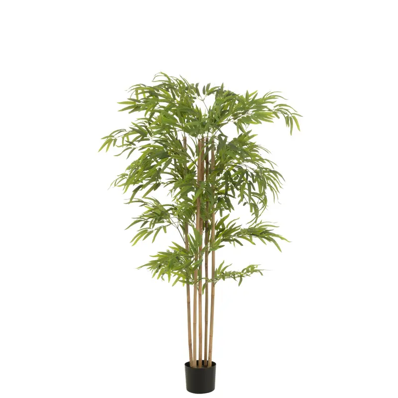 Bamboe In Pot Kunststof Groen H150cm J-Line