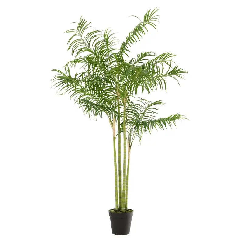 Bamboepalm In Pot Plastiek Groen/Zwart Large J-Line