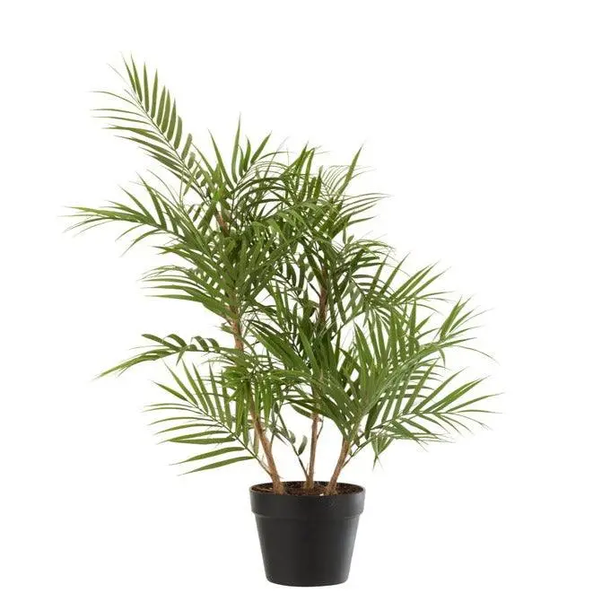 Bergpalm In Pot Plastiek Groen/Zwart Small