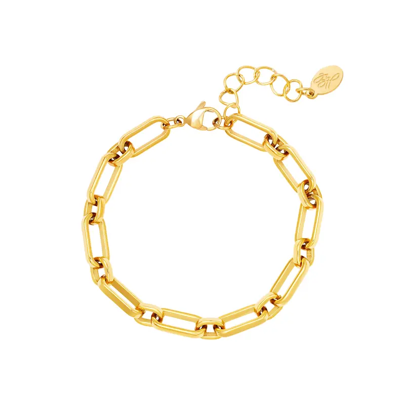 Bijoutheek Armband (sieraad) Schakels