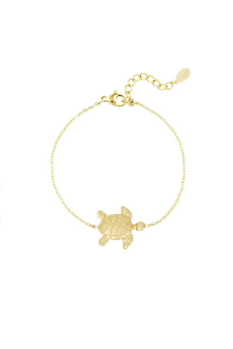 Bijoutheek Armband (Sieraad) Schildpad