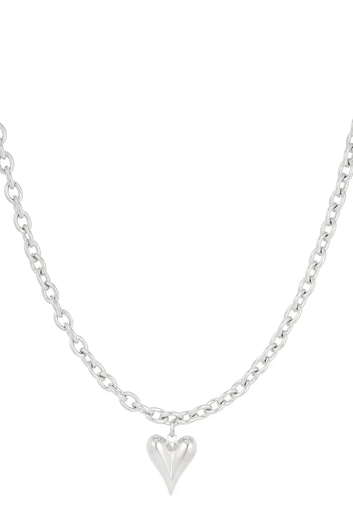 Bijoutheek Collier Grove Schakel Bol Hart
