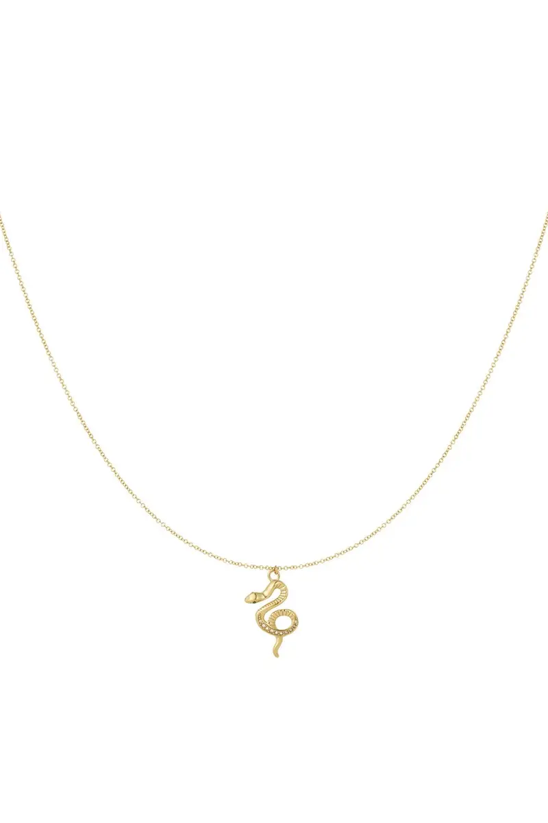 Bijoutheek Collier Slang Steentjes