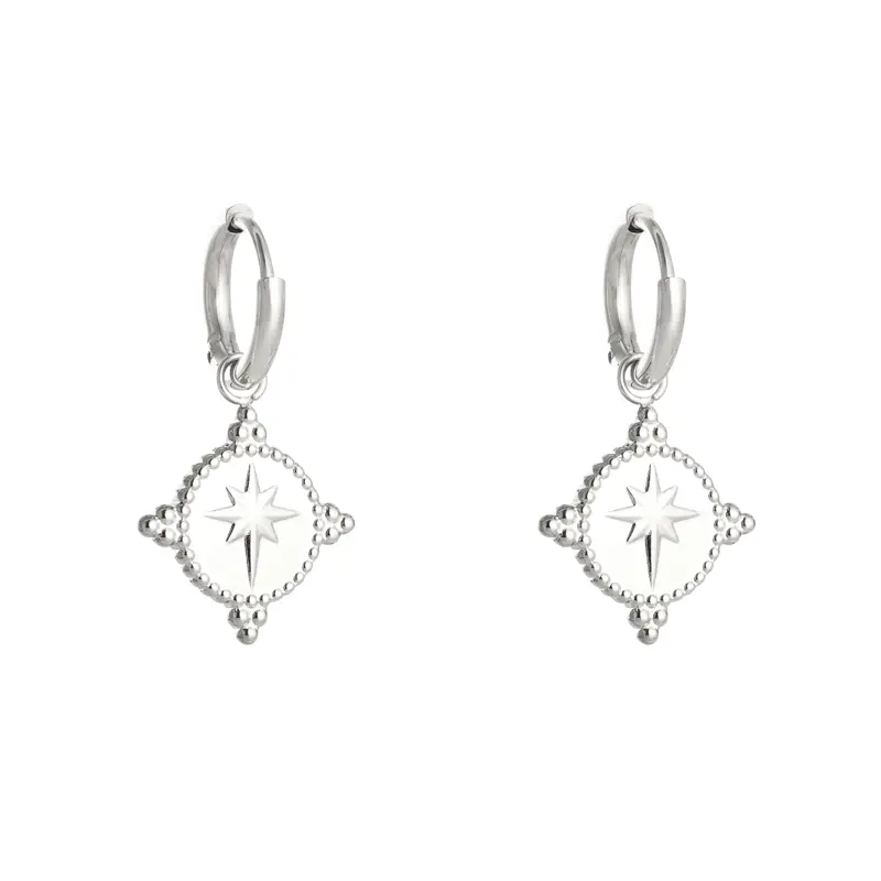 Bijoutheek Oorbel morningstar munt zilver