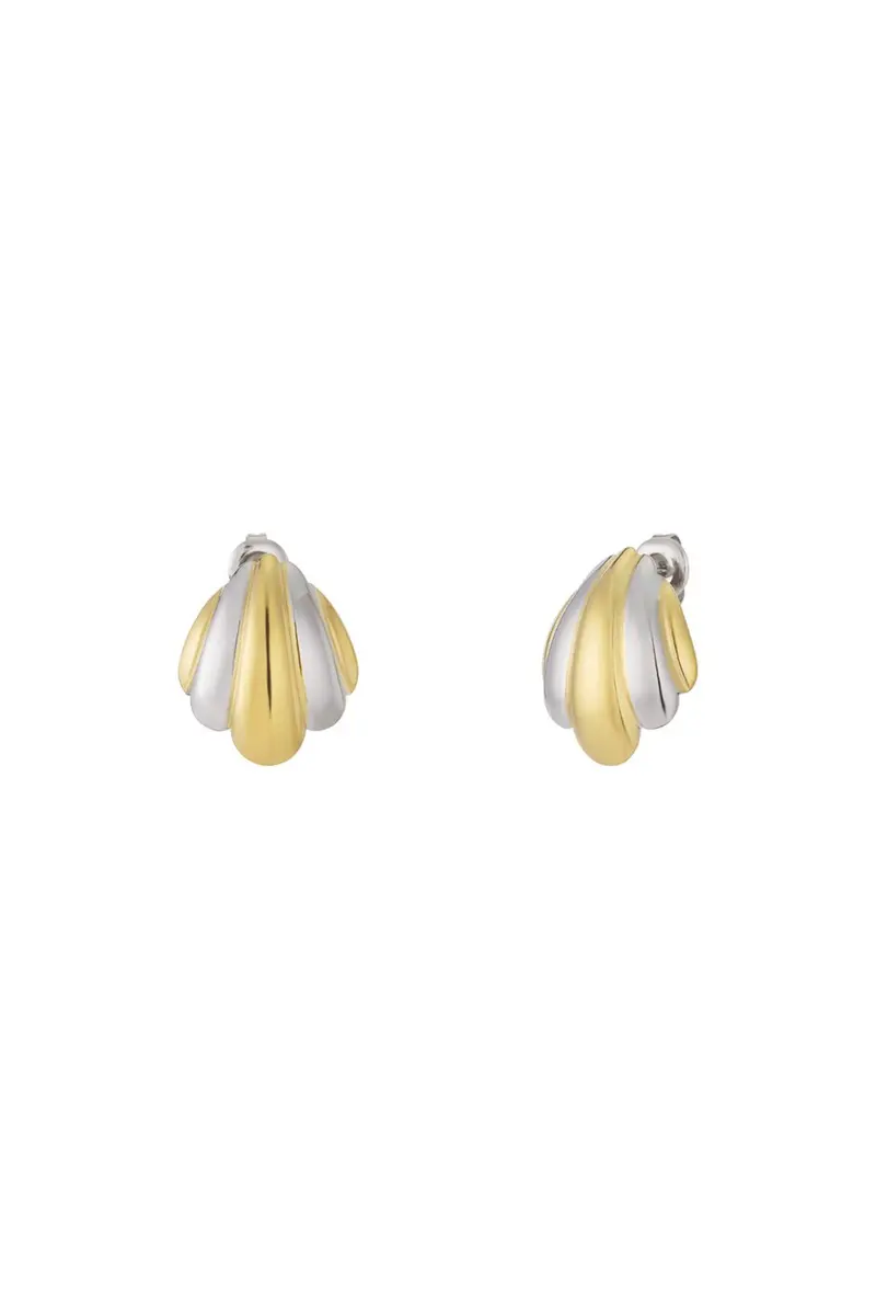 Bijoutheek Oorknoppen Bicolor Goud Zilver