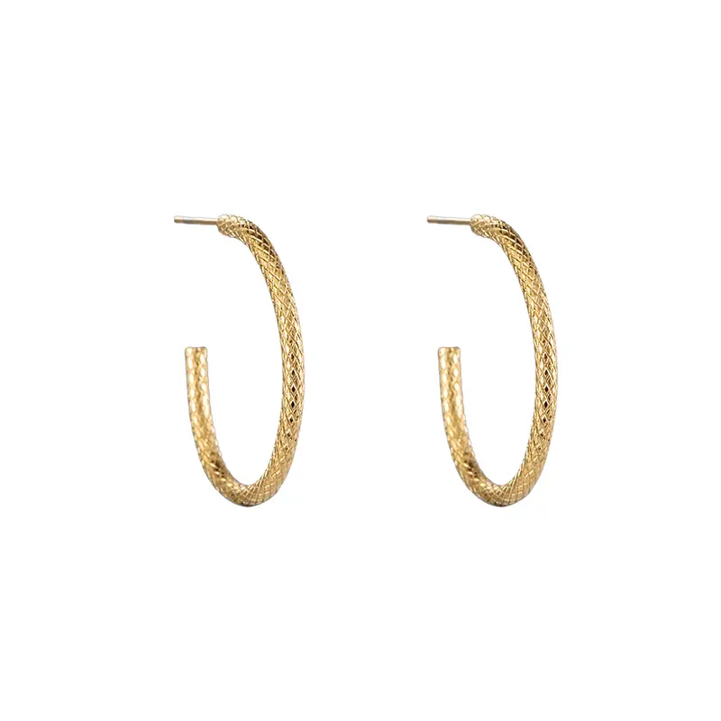 Bijoutheek Oorknoppen Ovaal Hoop Slang Patroon
