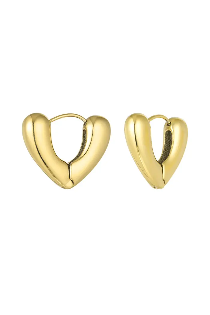 Bijoutheek Oorringen V Shape