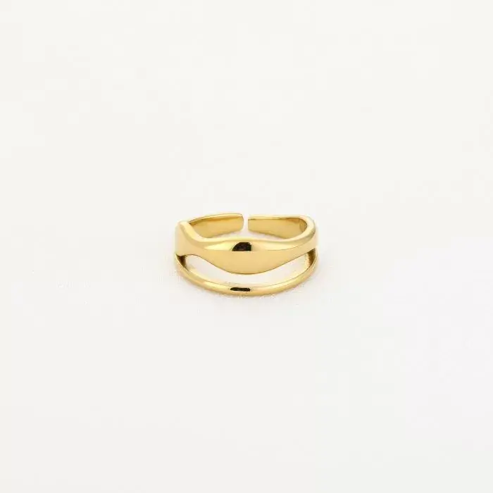 Bijoutheek Ring (Sieraad) Dubbel