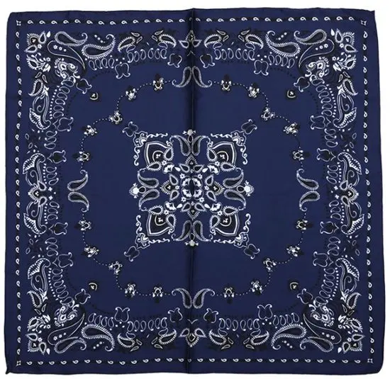 Bijoutheek Sjaal (Fashion) Vierkant Zijdezacht Paisley Rand
