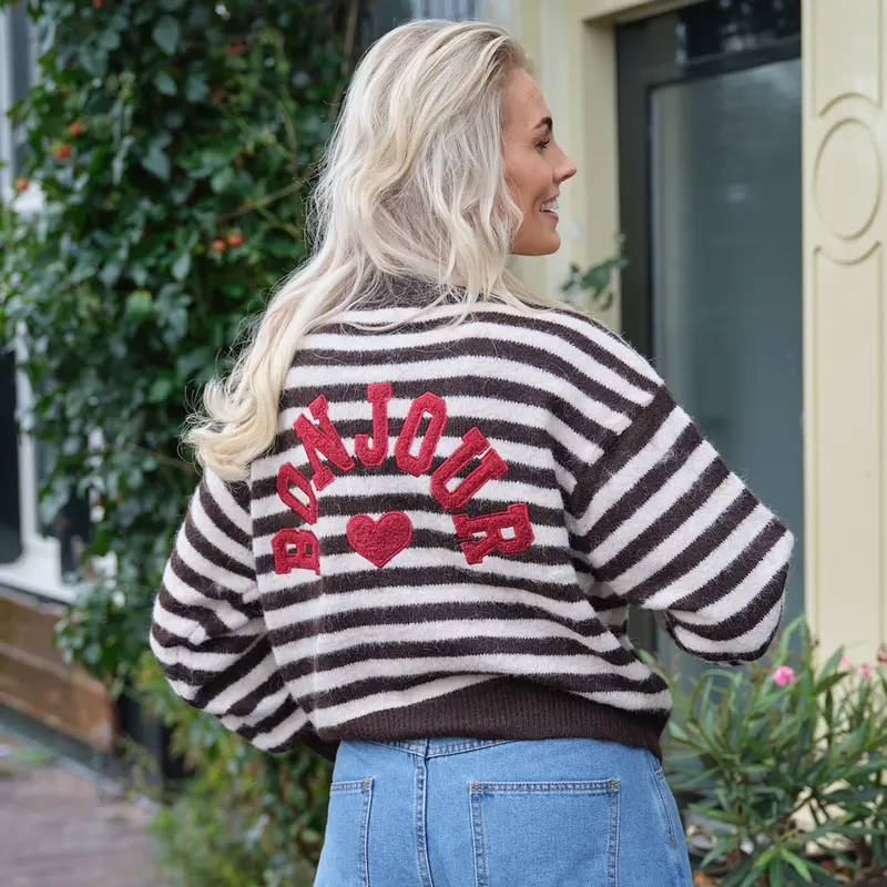 Bonjour streep vest bruin ecru