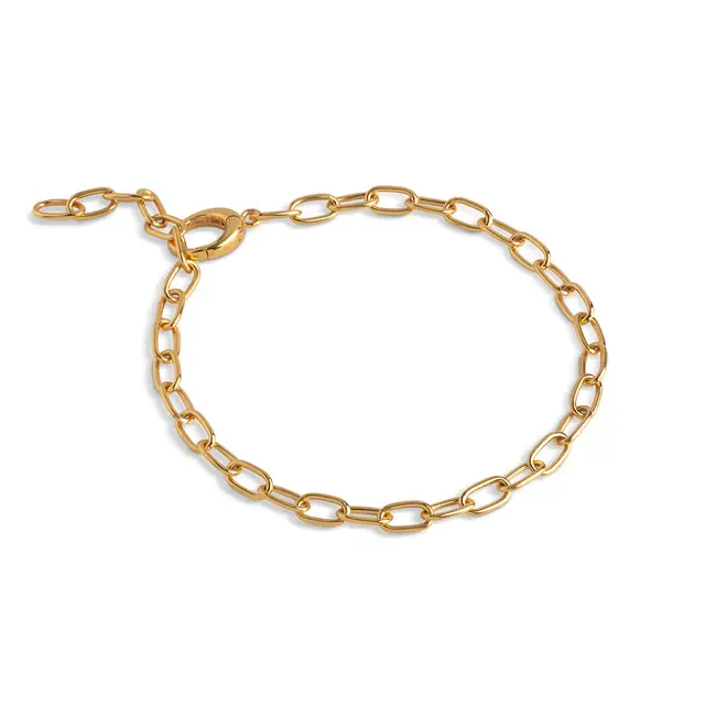 Enamel armband medium charm