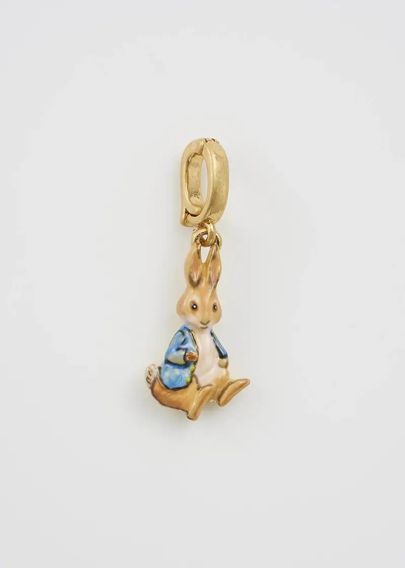 Fable England x Peter Rabbit Charm Brown