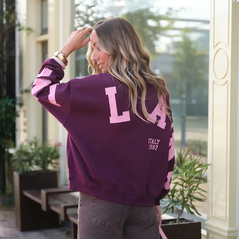 Fany oversized sweater purple