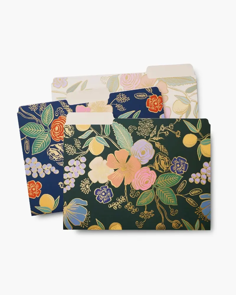 File Folder Set - Colette