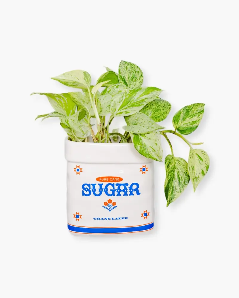 Flower Vase - Sugar Jar [PRE ORDER]
