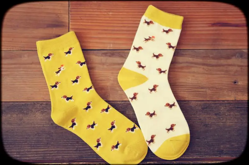 Frisbee Beagle Puppy Crew Socks