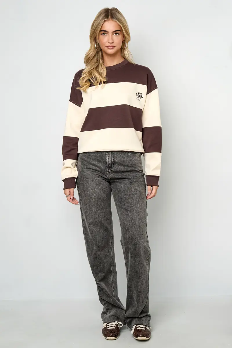 Gestreepte Sweater | Bruin