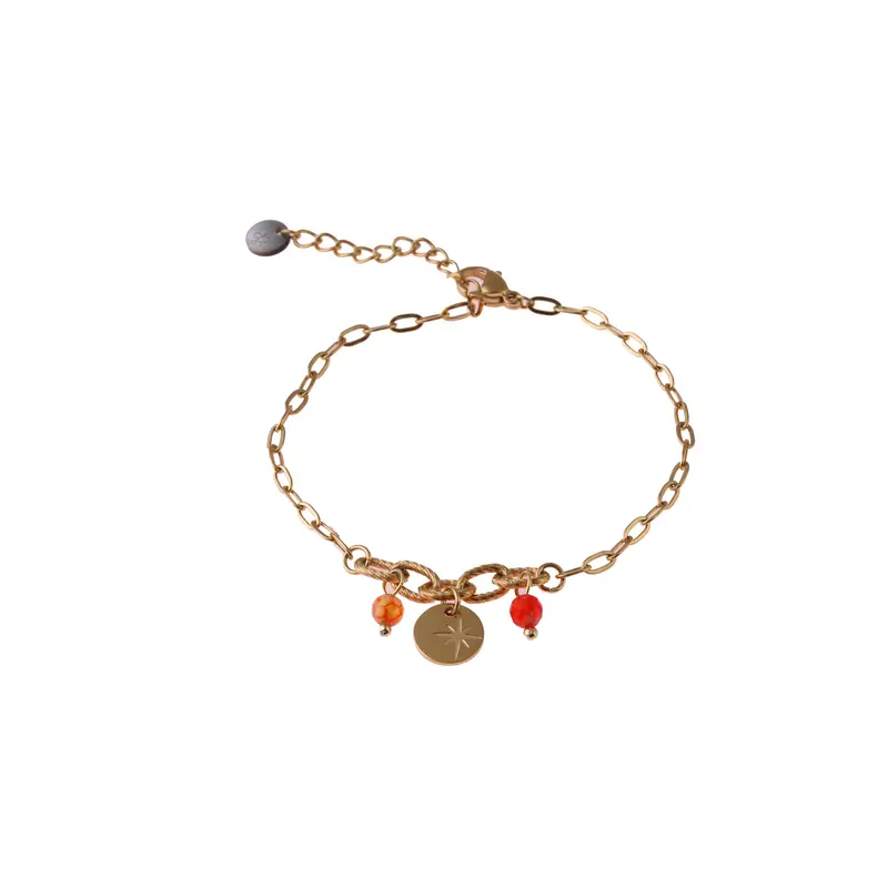 Go Dutch Label Armband Disc Ster goud
