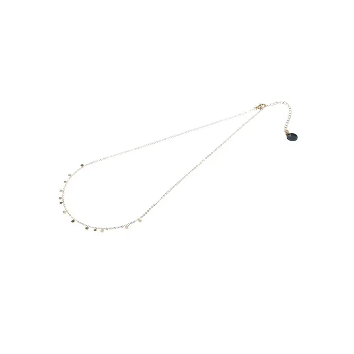 Go Dutch Label ketting small coins