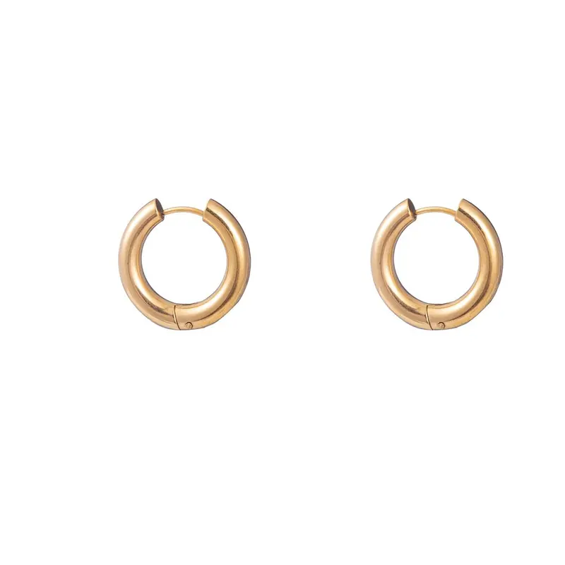 Go Dutch Label Oorringen (2-4cm)