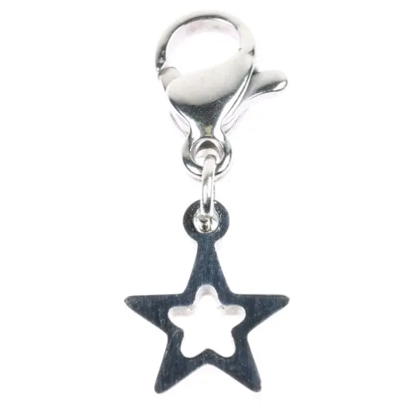 Hanger 8099780