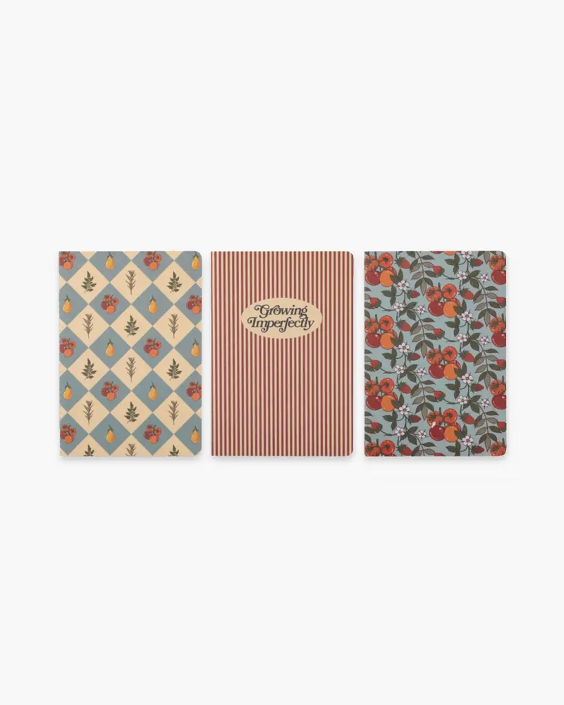 Hold That Thought Notebook Set - Growing Imperfectly [PRE ORDER]