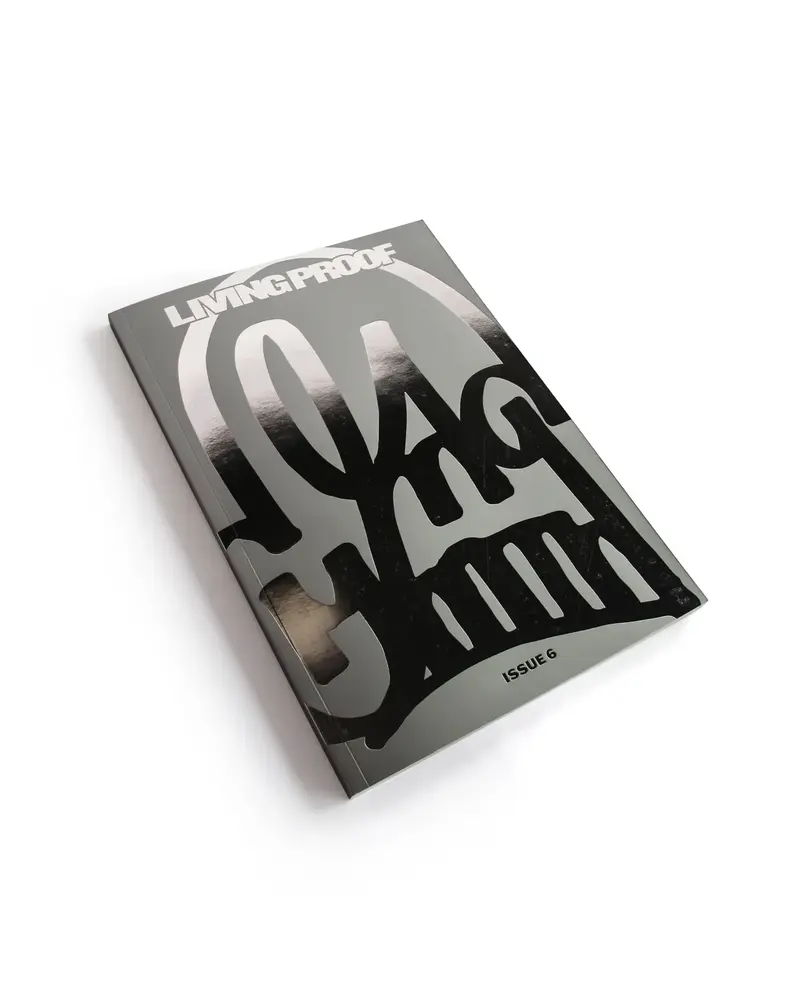 Issue 6