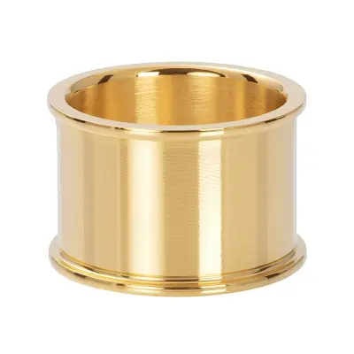 iXXXi  Basisring Goud 14mm (16-21MM)
