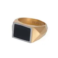 iXXXi Jewelry heren ring Mat Goud (Maat 20-23mm)