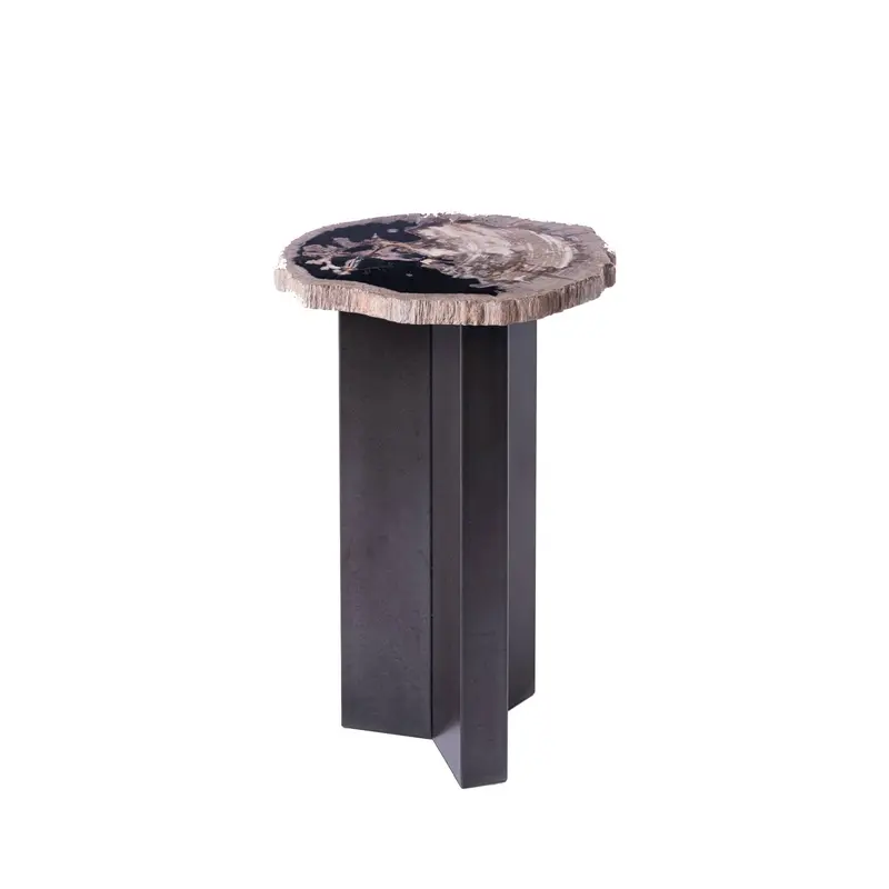 Jisse Black petrified wood sidetable twist base PTMD