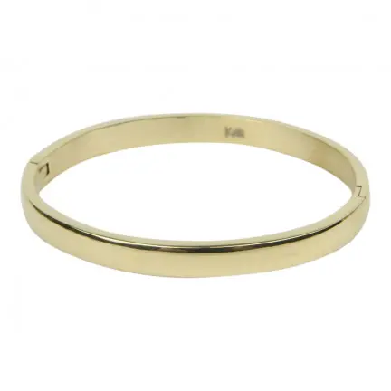 Kalli bangle Armband rond 2119 (18cm)
