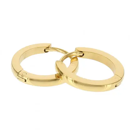 Kalli edelstalen Oorbel shiny rond 1831 (16mm)
