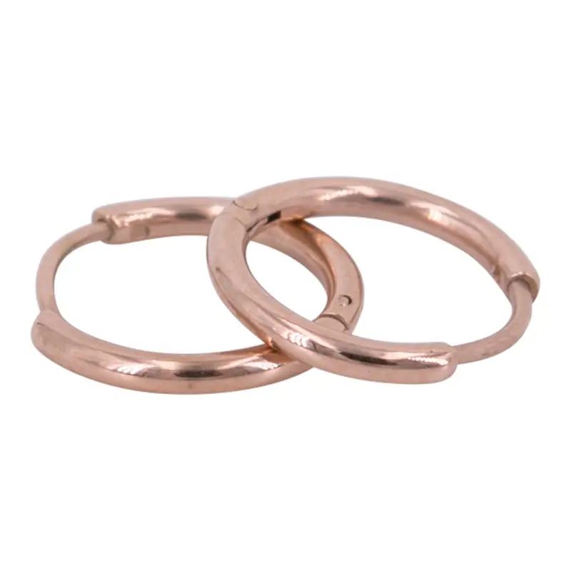 Kalli edelstalen Oorringen (13mm)