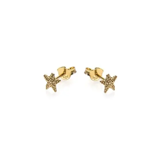 Karma Oorknoppen Symbols Starfish 2
