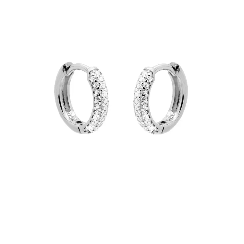 Karma Oorringen rond strass
