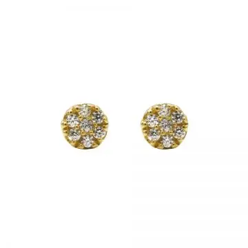 Karma Symbols oorbel zirconia disc