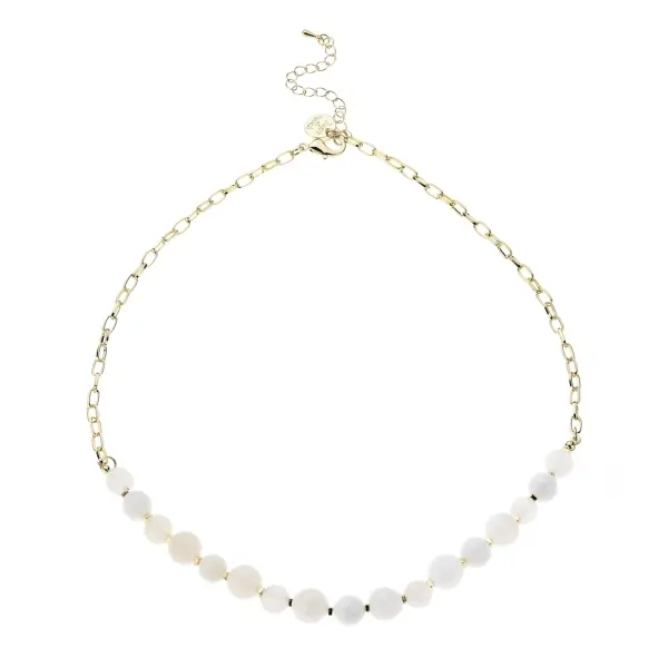 Ketting 8113981