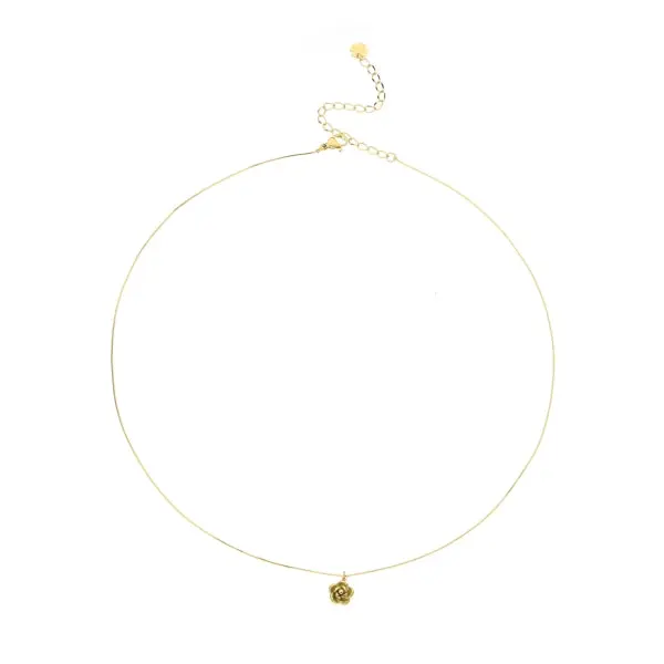 ketting 8118960