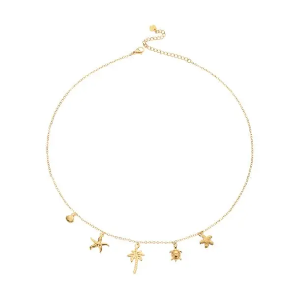 ketting 8119550
