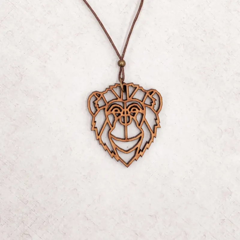 Ketting - Aap