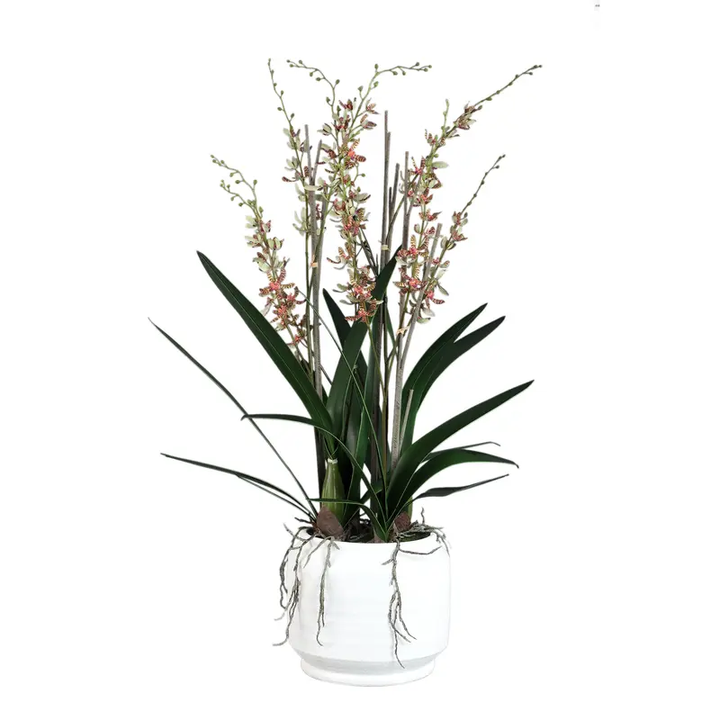 Kunstbloem Orchidee Renanthera Groen In Keramieken Pot PTMD