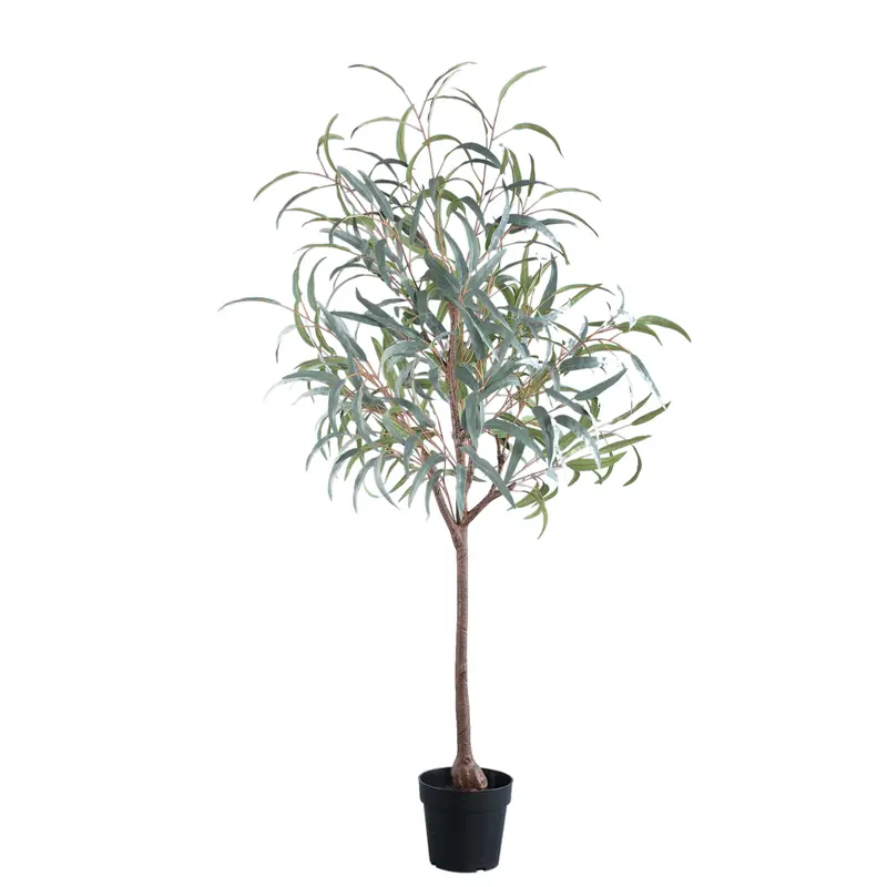 Kunstboom Eucalyptus Donkergroen In Zwarte Pot PTMD