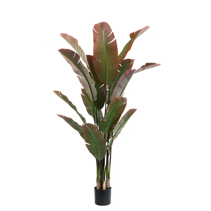 Kunstboom Strelitzia Donkergroen Rood In Zwarte Pot PTMD