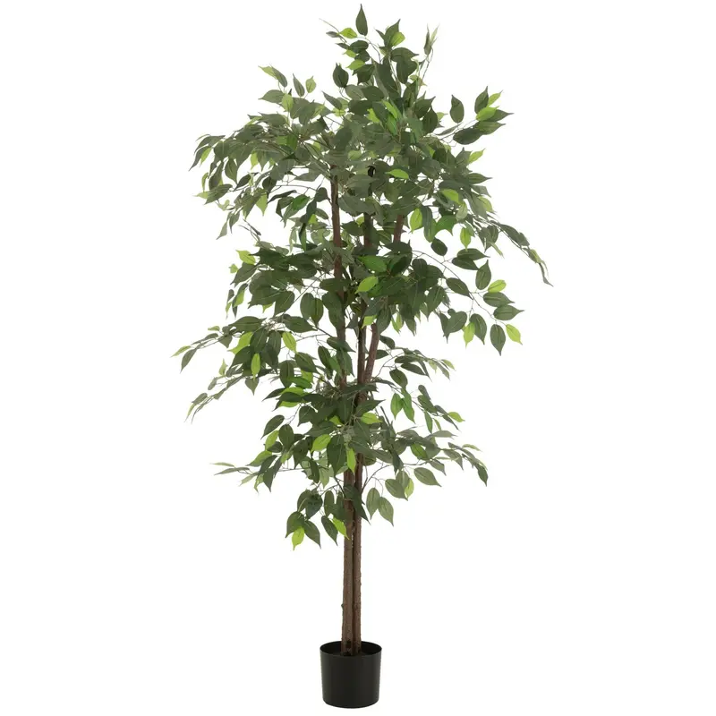 Kunstficus In Pot Groen H180cm J-Line
