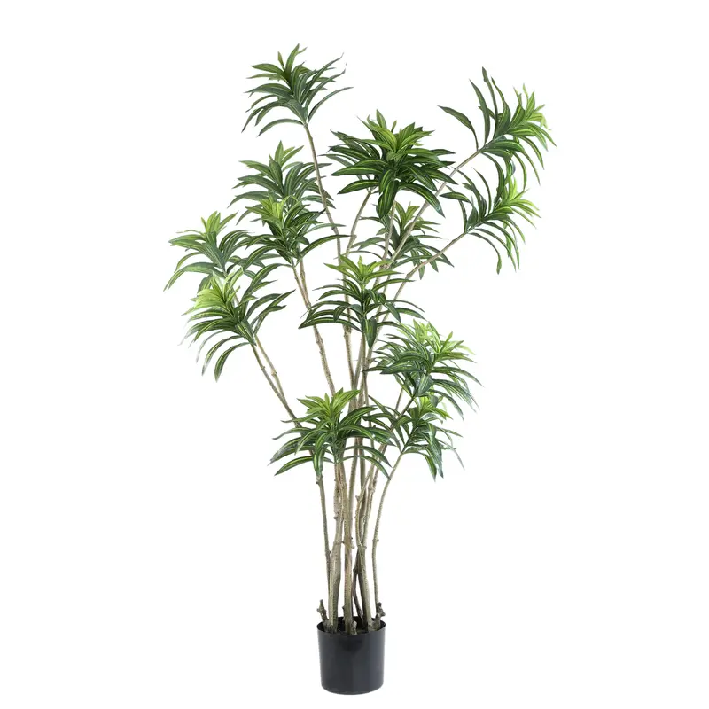 Kunstplant Dracaena Groen In Zwarte Pot PTMD