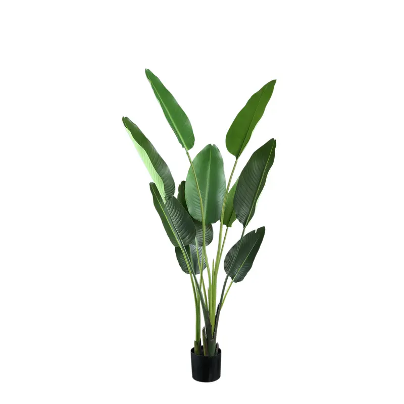 Leaves Plant Green PE Real Touch Strelitzia M 85x73x150cm PTMD